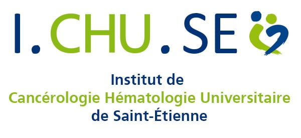 LogoICHUSE